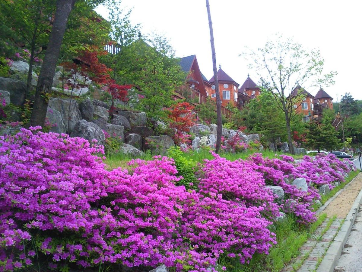 Elf Resort Hotel Pyeongchang Exterior photo