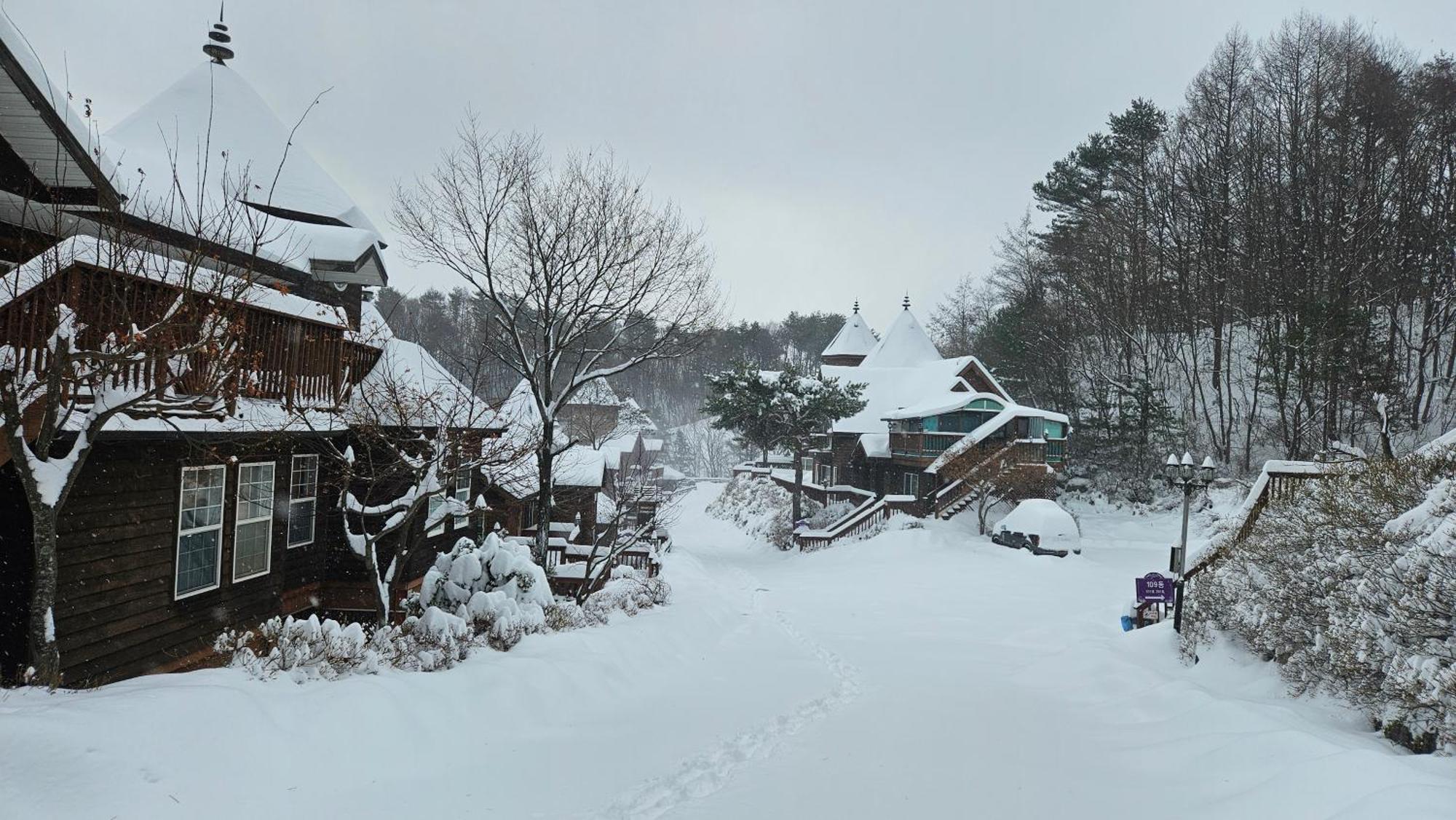 Elf Resort Hotel Pyeongchang Exterior photo