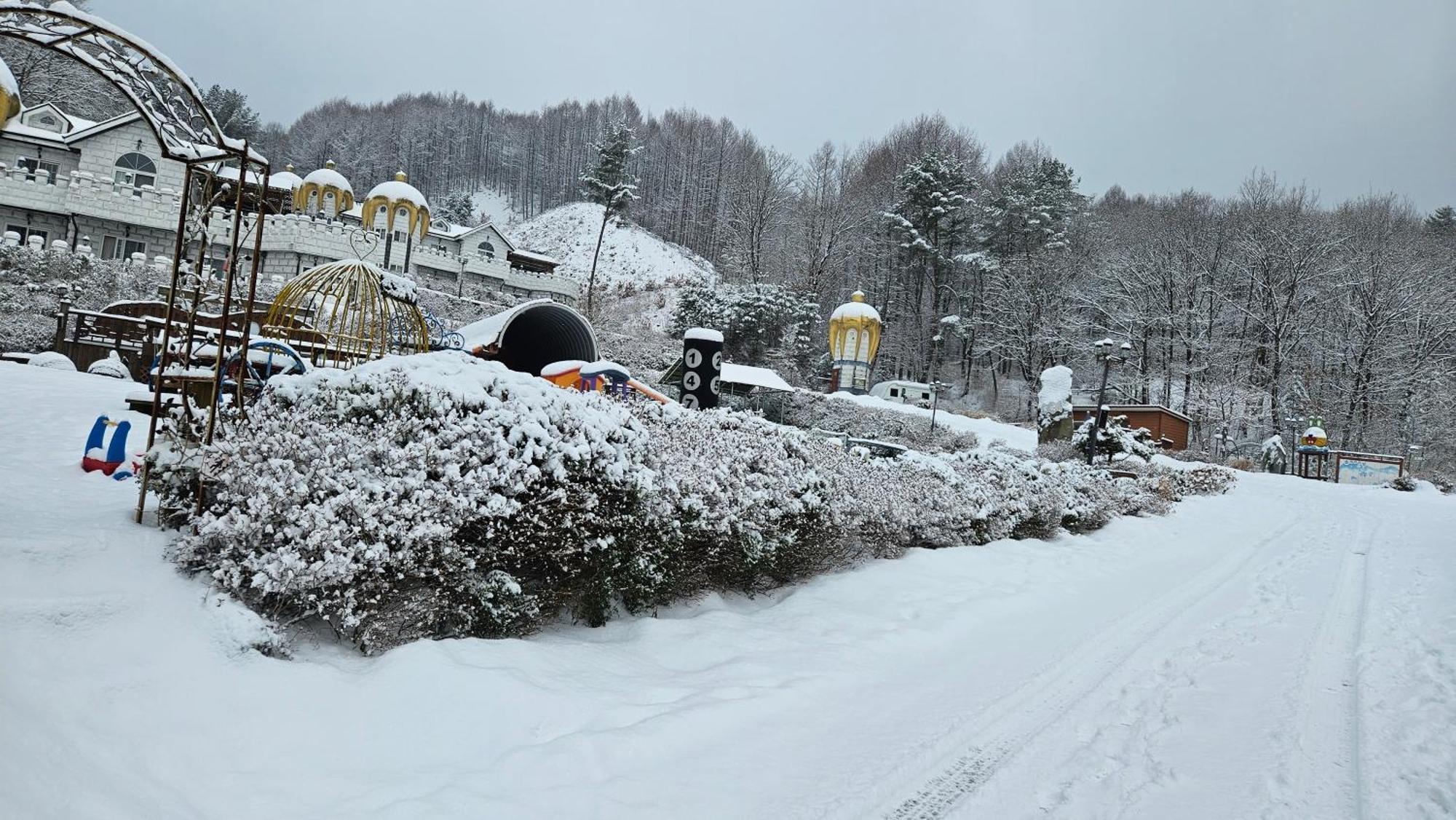 Elf Resort Hotel Pyeongchang Exterior photo